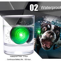 HKM-549267 LED Dog Anti-Lost Night Light with 3 Modes and Easy Battery Replacement