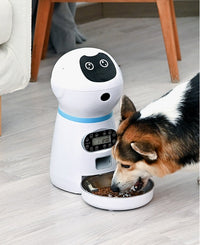 HKM-753619 Automatic Pet Feeder with Removable Grain Storage and Voice Recording Feature