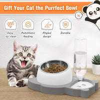 HKM-823955 Elevated Tilted Cat and Dog Bowls with Automatic Water Dispenser for Small Pets