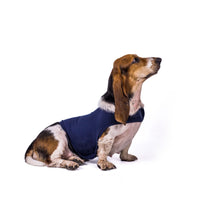HKM-519699 Pet Comforter for Dogs - Anti-Anxiety Clothing in Blue, Dark Gray, Green, and Rose Red - Gentle Pressure Relief for Fear and Stress