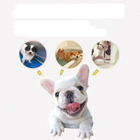 HKM-865107 Silicone Suction Cup Pet Bathing Bowl for Dogs with Paw Pad for Distraction