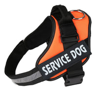 HKM-008723 Reflective Nylon Pet Traction Chest Strap with Adjustable Fit and Stainless Steel Ring