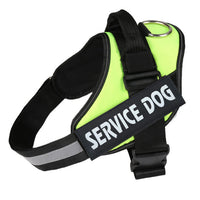 HKM-008723 Reflective Nylon Pet Traction Chest Strap with Adjustable Fit and Stainless Steel Ring