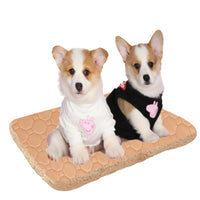 HKM-515859 Three-Layer Breathable Pet Mat for Rapid Sweat Absorption and Warmth