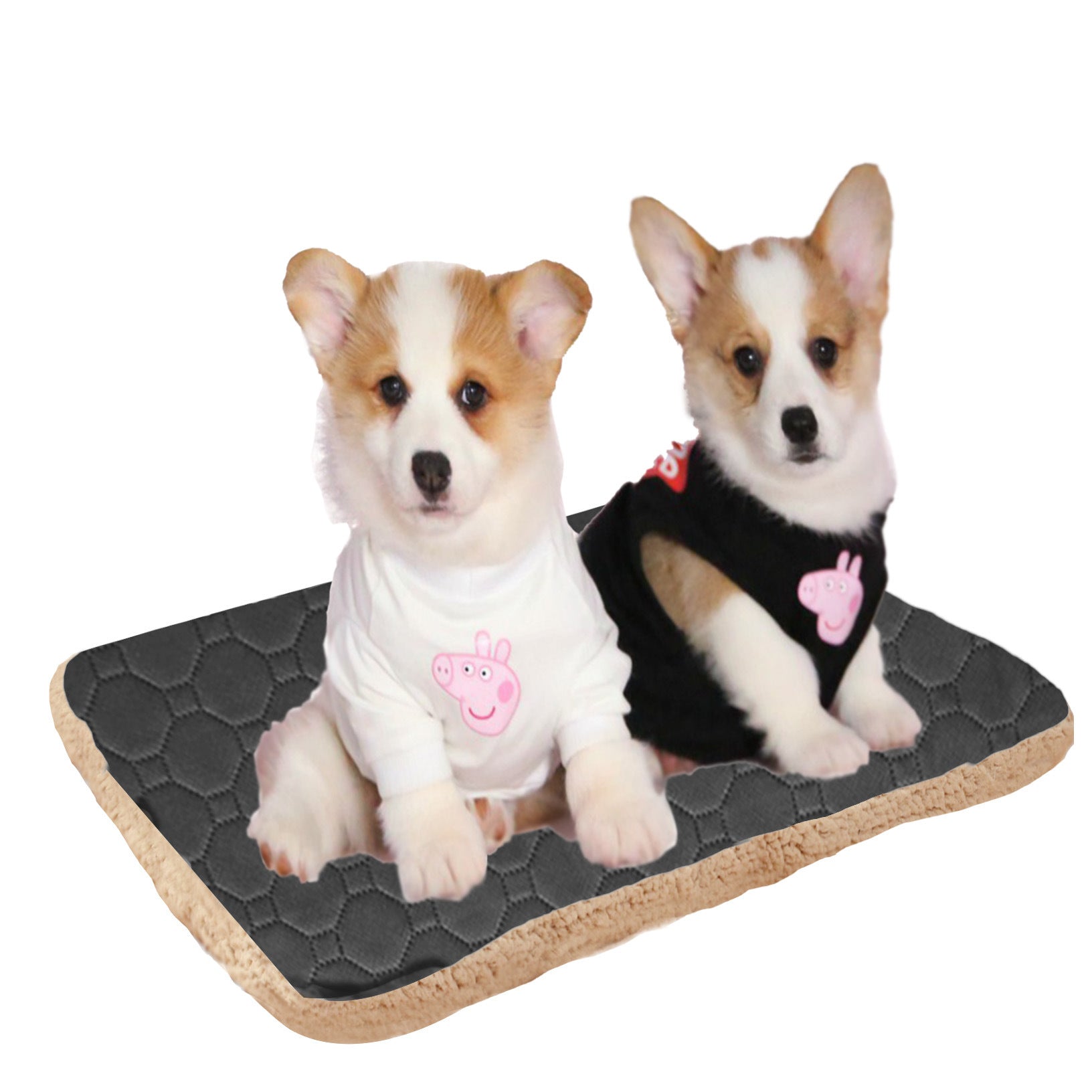 HKM-515859 Three-Layer Breathable Pet Mat for Rapid Sweat Absorption and Warmth