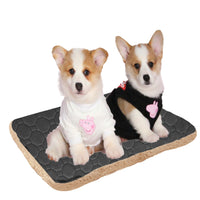 HKM-515859 Three-Layer Breathable Pet Mat for Rapid Sweat Absorption and Warmth