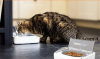 HKM-099411 Automatic Induction Pet Feeder with Stainless Steel Double Bowl for Odor-Free Feeding