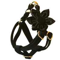 HKM-236947 Black Flannel Dog Harness with Gold Buckle - Adjustable Polyester Pet Chest Strap for Sizing Options S to XL