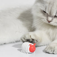 HKM-692563 Interactive USB Rechargeable Electric Cat Toy for Indoor Play - Smart Pet Entertainment Device