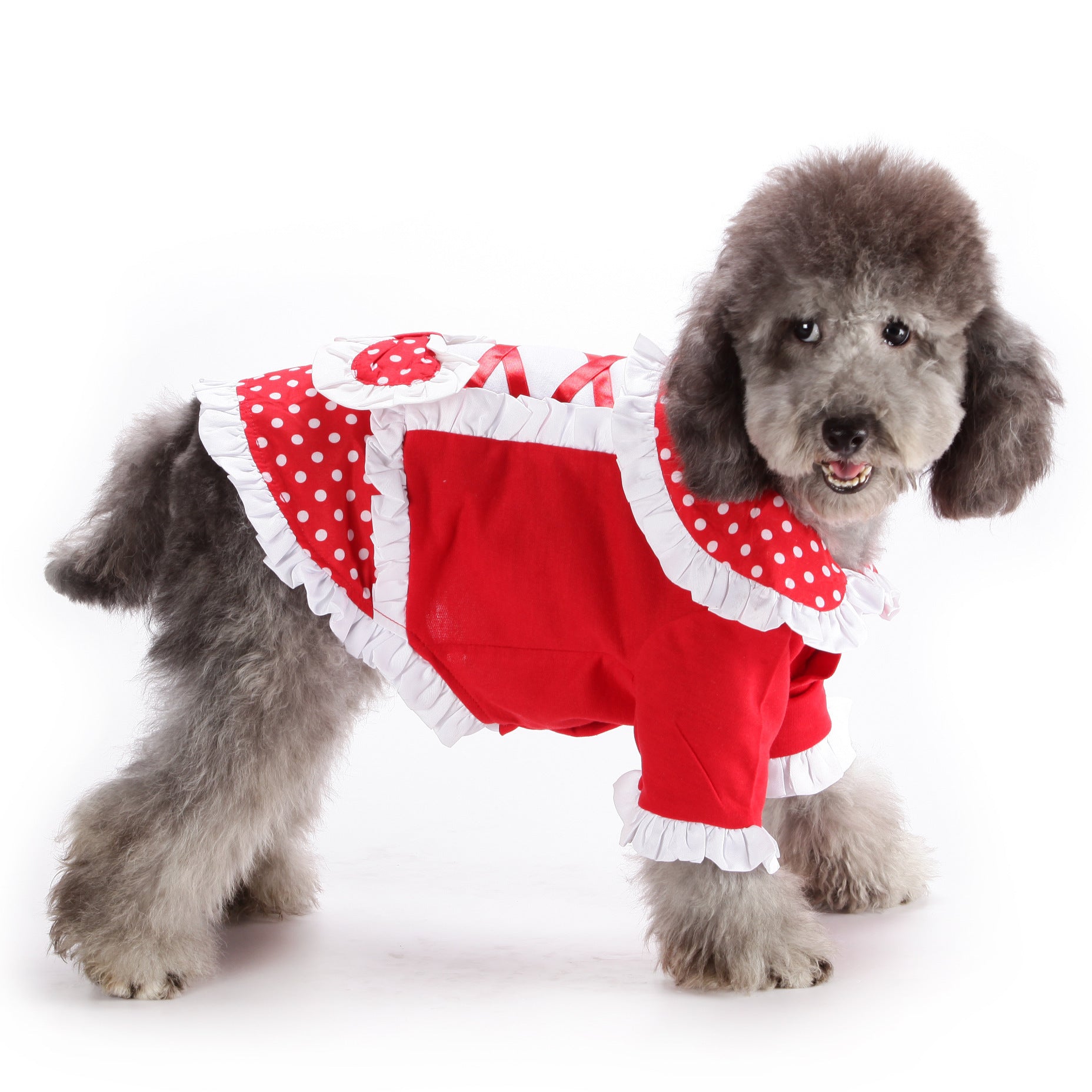 JMT-209994 Elegant Black Casual Lolita Princess Dress for Women - Slim Fit Cotton Skirt