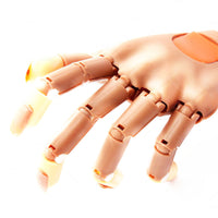 HKM-495251 Nail Art Practice Hand for Manicure Training with Plastic Nail Tools