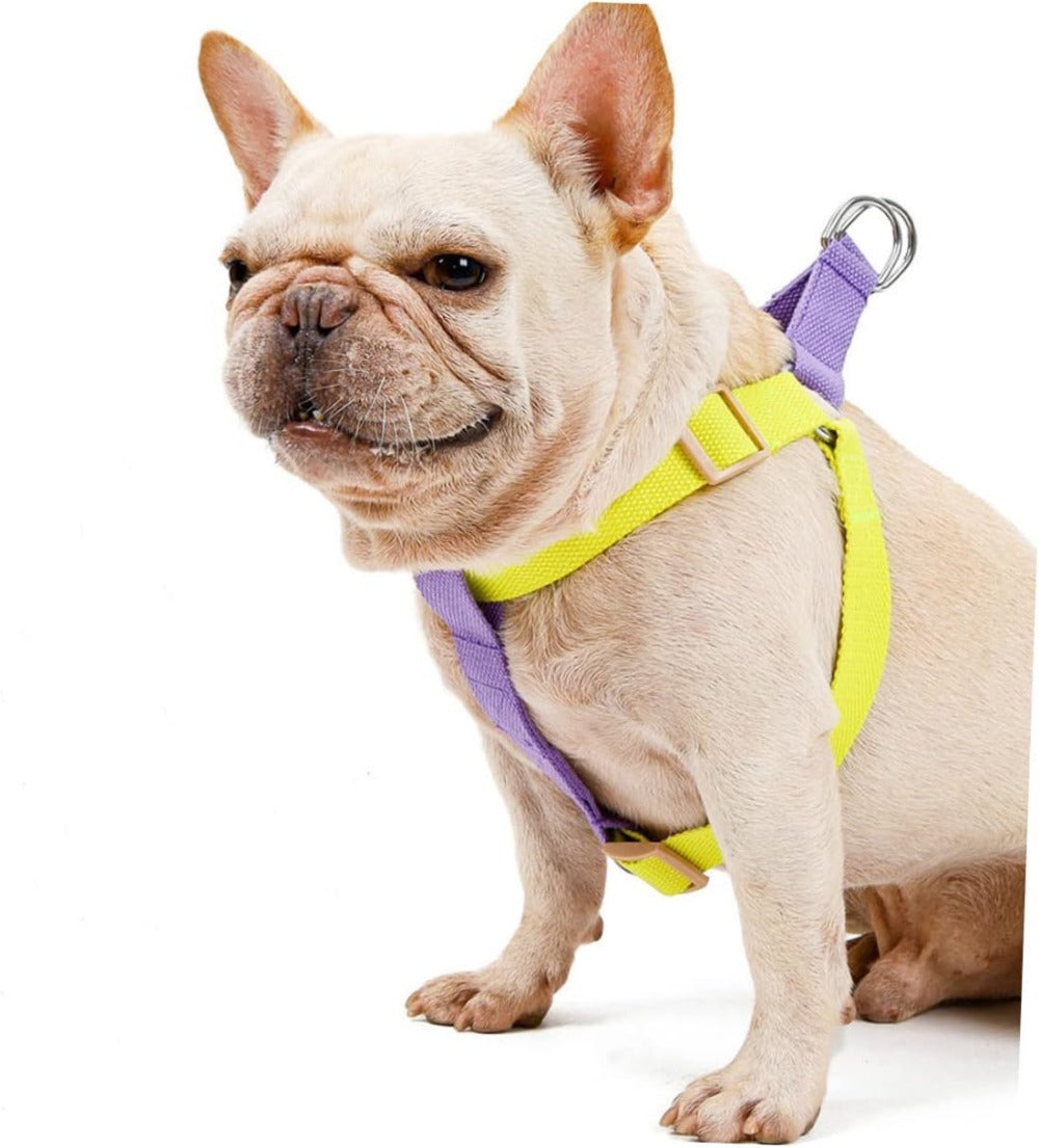 HKM-435155 No Pull Nylon Dog Harness and Leash Set for Small Dogs, Ideal for French Bulldogs, Chihuahuas, and Yorkies