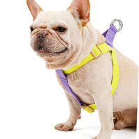 HKM-435155 No Pull Nylon Dog Harness and Leash Set for Small Dogs, Ideal for French Bulldogs, Chihuahuas, and Yorkies