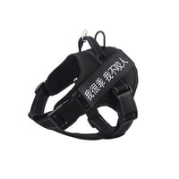 HKM-802067 Comfort Fit Adjustable Pet Harness for Walks and Outdoor Adventures