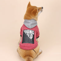HKM-889875 Casual Letter Print Hooded Sweatshirt for Everyday Wear