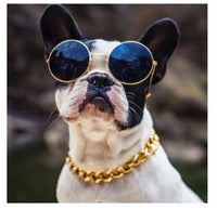HKM-961811 Gold-Plated Dog Necklace - Adjustable Lengths in Classic Gold and Silver Finishes