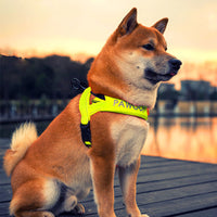 HKM-894611 Adjustable High-Strength Nylon Dog Harness with Leash ¨C Available in Orange and Green