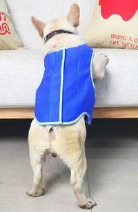 HKM-262163 Cooling PVA Vest for Pets - Reusable Summer Apparel for Dogs and Cats