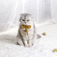 HKM-422227 Charming Pet Bow Tie Collar - British Style in Green with Red, Pink with Purple, White with Yellow