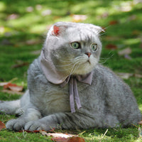 HKM-422227 Charming Pet Bow Tie Collar - British Style in Green with Red, Pink with Purple, White with Yellow