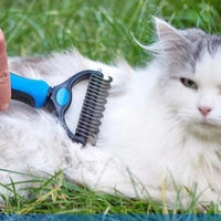 HKM-295763 Stainless Steel Rake Comb with Round Edges for Dogs and Cats - Large and Small Sizes Available
