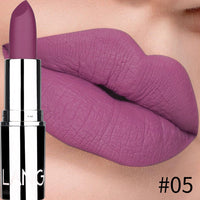 HKM-595603 Matte Silver Lipstick - Long-Lasting, Moisturizing Bullet Formula