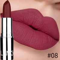 HKM-595603 Matte Silver Lipstick - Long-Lasting, Moisturizing Bullet Formula