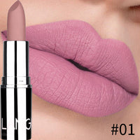 HKM-595603 Matte Silver Lipstick - Long-Lasting, Moisturizing Bullet Formula
