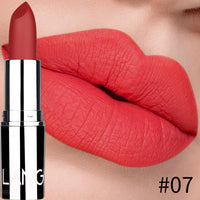 HKM-595603 Matte Silver Lipstick - Long-Lasting, Moisturizing Bullet Formula