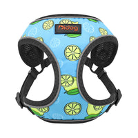 HKM-977107 Adjustable Pet Leash Vest for Small Dogs - Cute Designs for Comfortable Walking