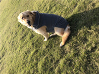 HKM-281427 Reversible Fleece Vest for Dogs - Warm Polar Fleece Clothing in Hemp Gray and Wine Red, Sizes XXS to XXXL