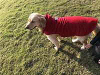 HKM-281427 Reversible Fleece Vest for Dogs - Warm Polar Fleece Clothing in Hemp Gray and Wine Red, Sizes XXS to XXXL