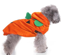 HKM-719763 Dog Spider Costume for Pets - Unique Design for Halloween Fun