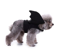 HKM-719763 Dog Spider Costume for Pets - Unique Design for Halloween Fun