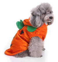 HKM-719763 Dog Spider Costume for Pets - Unique Design for Halloween Fun