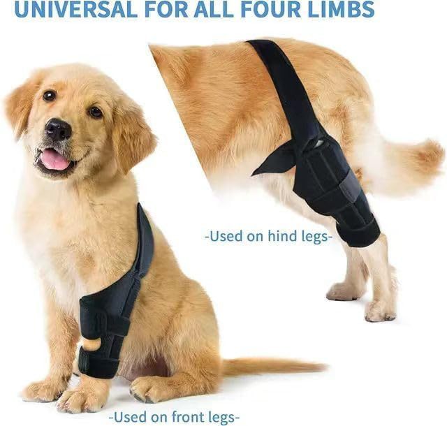 HKM-402387 Dog Rehabilitation Support Belt for Leg Injury Recovery - Black, XS to L Size, Polyester Material
