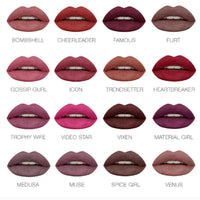 HKM-645331 Long Lasting Waterproof Lipstick Gift Set - 16 Matte Lip Gloss Shades
