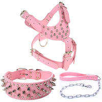 HKM-831379 Three-Piece Dog Safety Harness Set with Collar, Chest Strap, and Leash