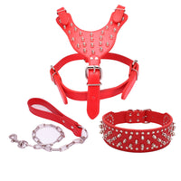 HKM-831379 Three-Piece Dog Safety Harness Set with Collar, Chest Strap, and Leash