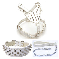 HKM-831379 Three-Piece Dog Safety Harness Set with Collar, Chest Strap, and Leash
