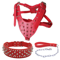 HKM-831379 Three-Piece Dog Safety Harness Set with Collar, Chest Strap, and Leash