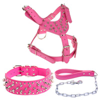 HKM-831379 Three-Piece Dog Safety Harness Set with Collar, Chest Strap, and Leash