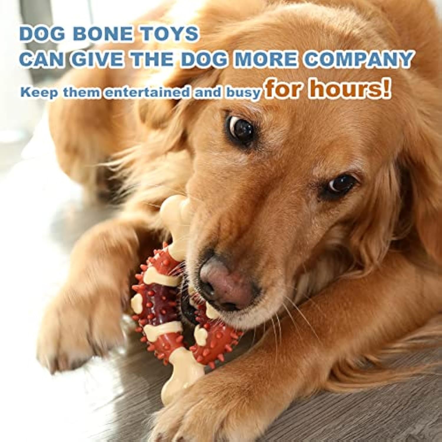 HKM-286163 Pet Molar Chew Toy for Teeth Grinding and Anxiety Relief - Natural Rubber Bone Shape for Dental Health and Chewing Fun