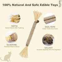 HKM-924563 Natural Silvervine Cat Chew Sticks - 3 Pack for Dental Care and Healthy Play