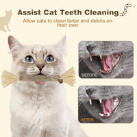 HKM-924563 Natural Silvervine Cat Chew Sticks - 3 Pack for Dental Care and Healthy Play