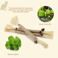 HKM-924563 Natural Silvervine Cat Chew Sticks - 3 Pack for Dental Care and Healthy Play
