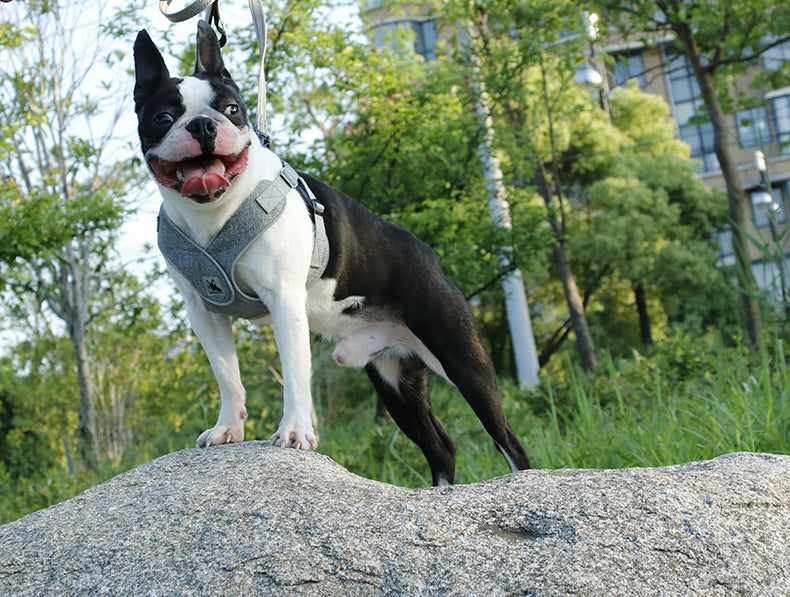 HKM-861843 Breathable Puppy Harness for Small to Medium Dogs - Adjustable Cationic Mesh Design