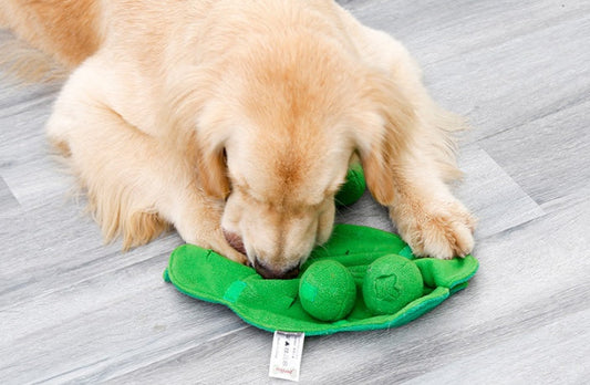 HKM-431571 Pet Scent Mat for Dogs – Sniffing Training Pad in Beige and Green, 73x73CM