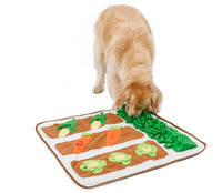 HKM-431571 Pet Scent Mat for Dogs – Sniffing Training Pad in Beige and Green, 73x73CM