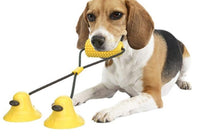 HKM-611219 Dog Corn Molar Stick Chew Toy with Sound and Suction Cup Design for Teeth Cleaning